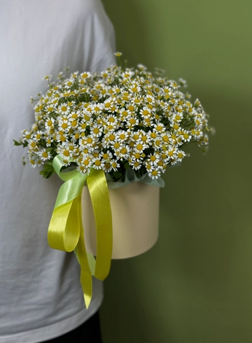 Композиция из ромашек от интернет-магазина цветов в 